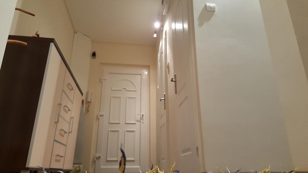 Aquarius Apartman Szegedin Exterior foto